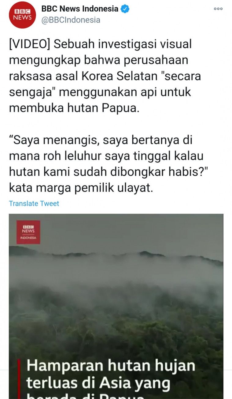 Tagar #SavePapuaForest