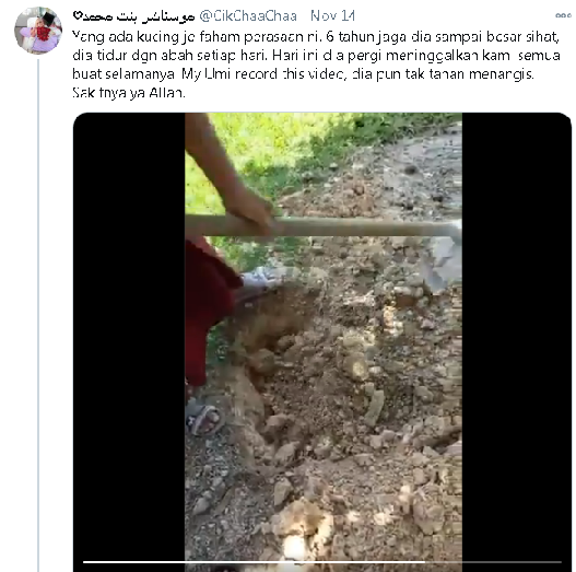 Pria ini menangis karena ditinggal mati kucing kesayangan