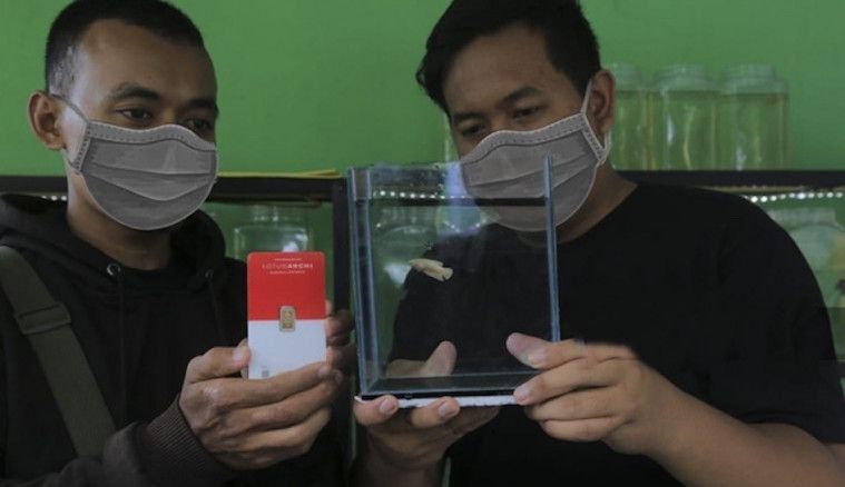Batu meteor 26 miliar