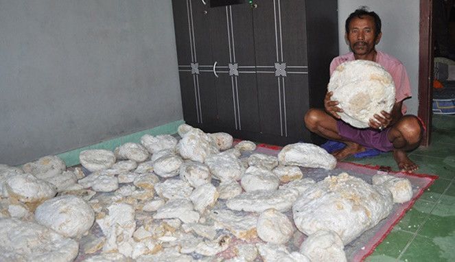 Batu meteor 26 miliar