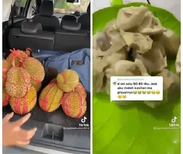 Ilustrasi durian