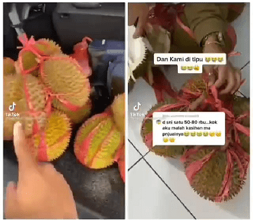 Ilustrasi durian
