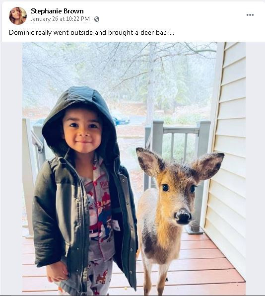 Balita bawa anak rusa saat pulang main