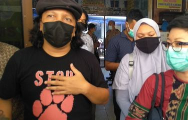 Ilustrasi kucing