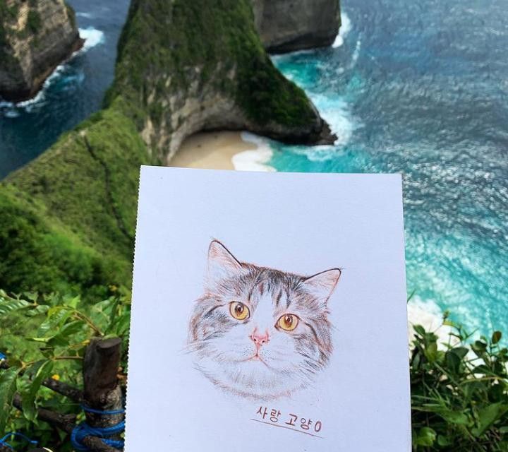 Potret Tayo, kucing menggemaskan milik Sonia Rizkika Rai.
