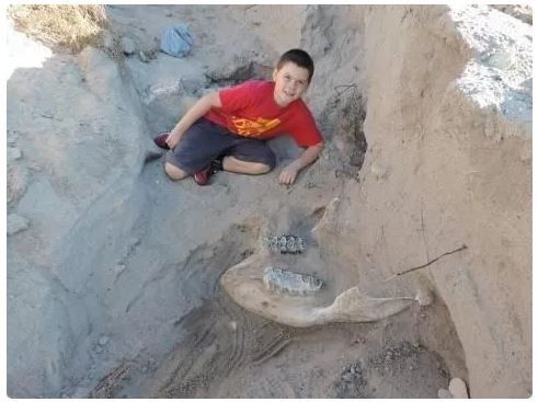 Benda bersejarah yang ditemukan secara tidak sengaja