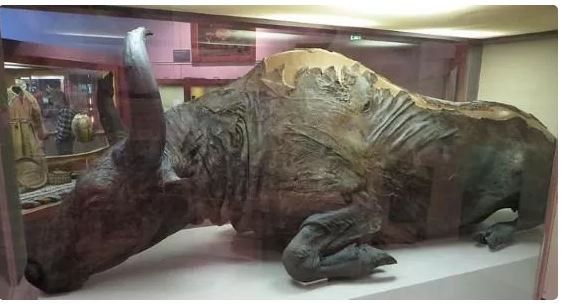 Benda bersejarah yang ditemukan secara tidak sengaja