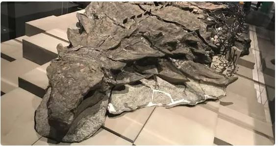 Benda bersejarah yang ditemukan secara tidak sengaja