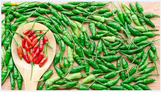 Kebiasaan unik orang Indonesia