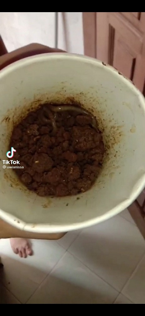 Kemasan BTS Meal jadi wadah cacing