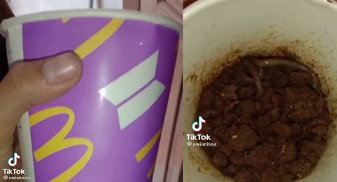 Kemasan BTS Meal jadi wadah cacing