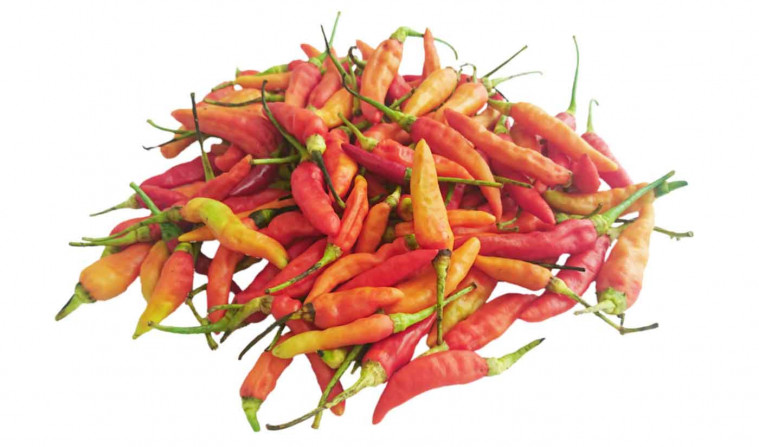 Resep Herbal Covid