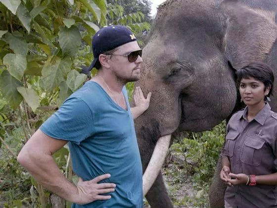 Mark Zuckerberg dan Leonardo DiCaprio